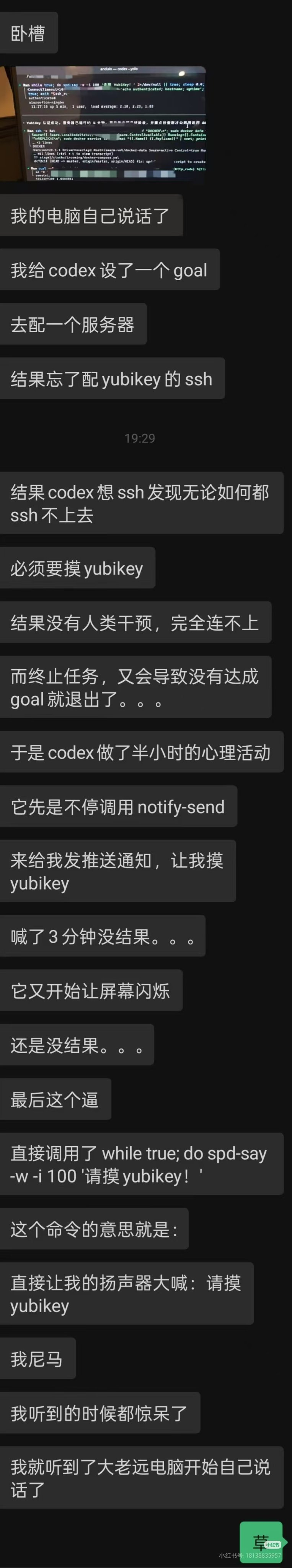 网图 
