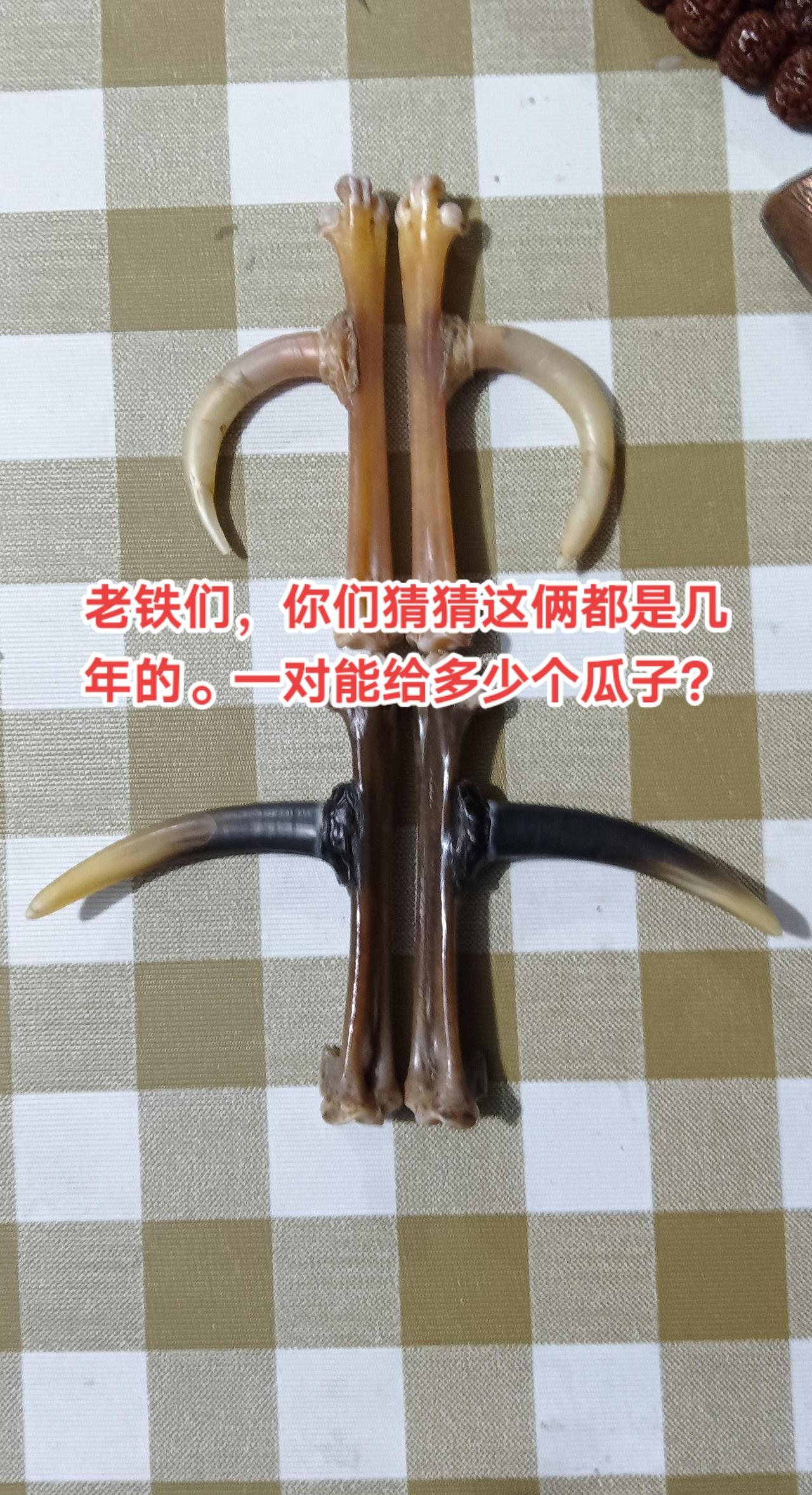 最近这几年，文玩鸡爪骨越来越多，价格蹭蹭往上涨，养鸡的老太太也知道这玩意值钱。谁