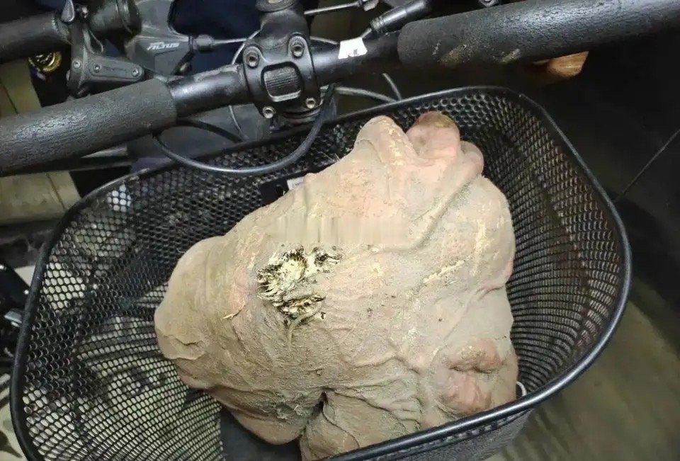 回村隔壁大姨送给我的，这是啥啊 
