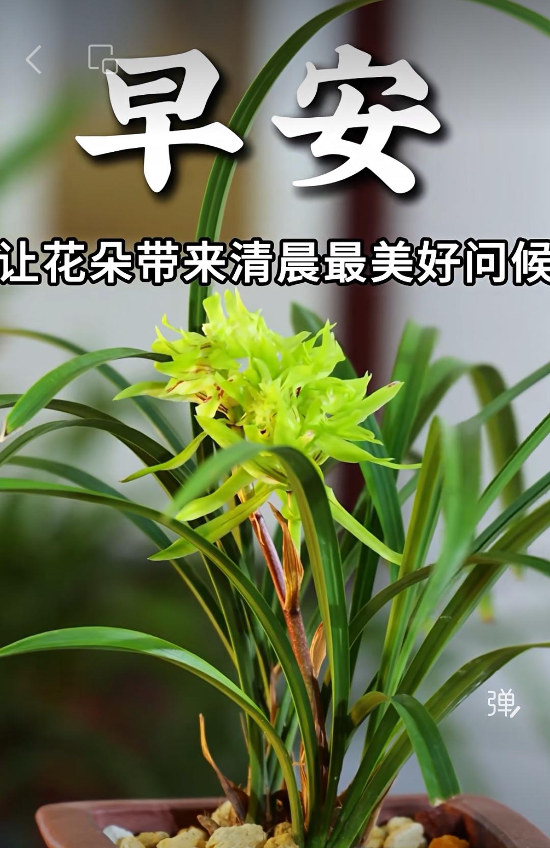 真心的希望是平安，
誠意的祝福是健康，
深情的惦念是保重，
心中的牽掛是幸福。