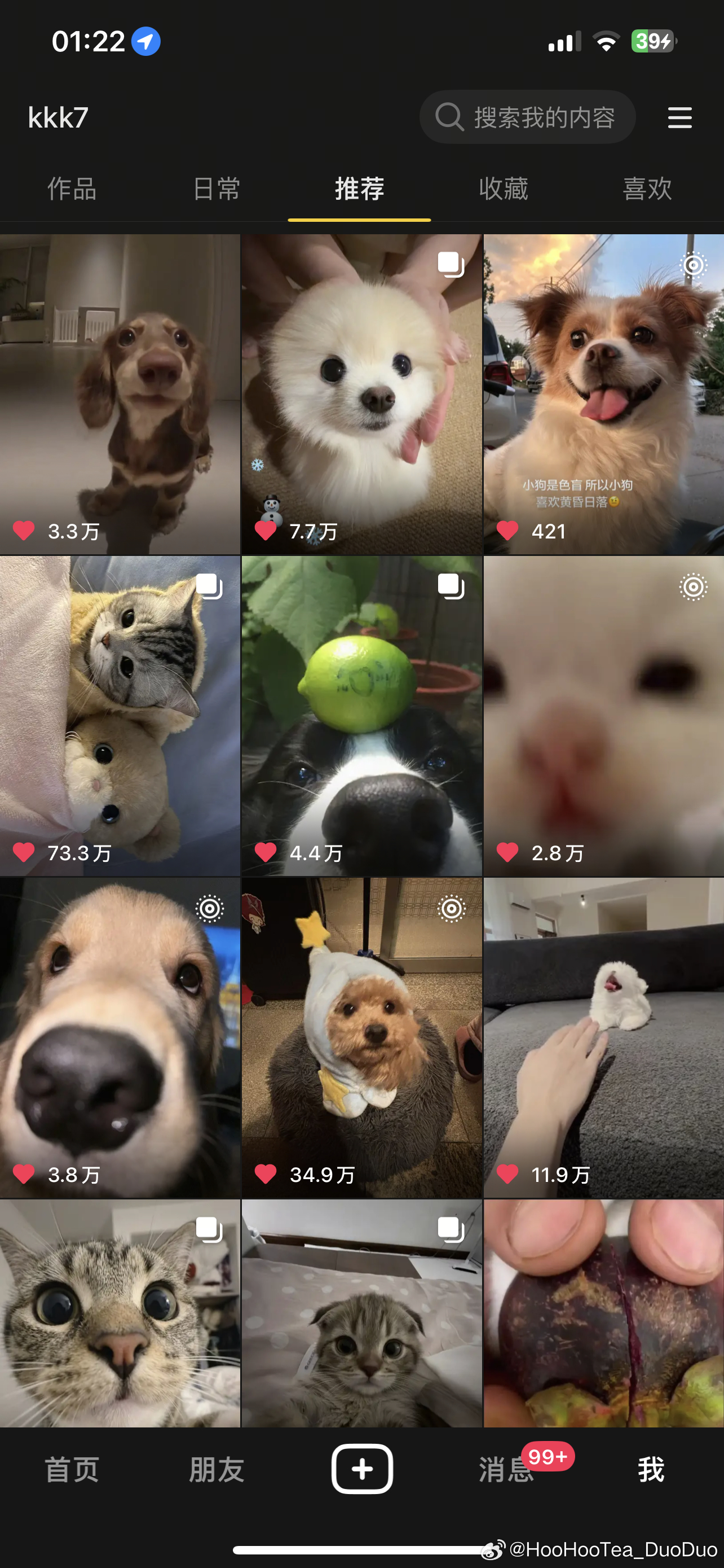 我的抖音是猫狗观察日记。 