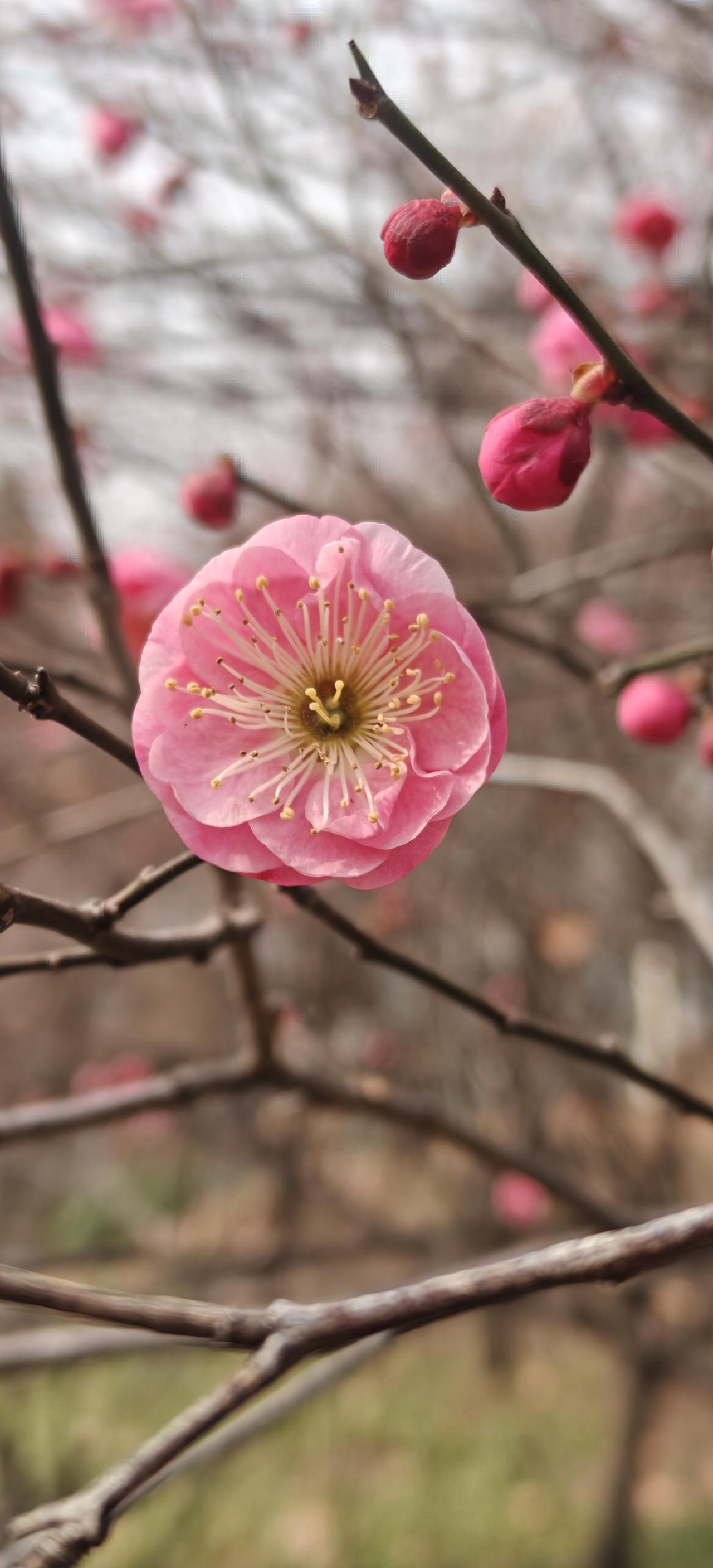 刚才收拾孩子的东西，发现我买了一堆的教辅，结果写过的寥寥无几！
下次不买了，买一