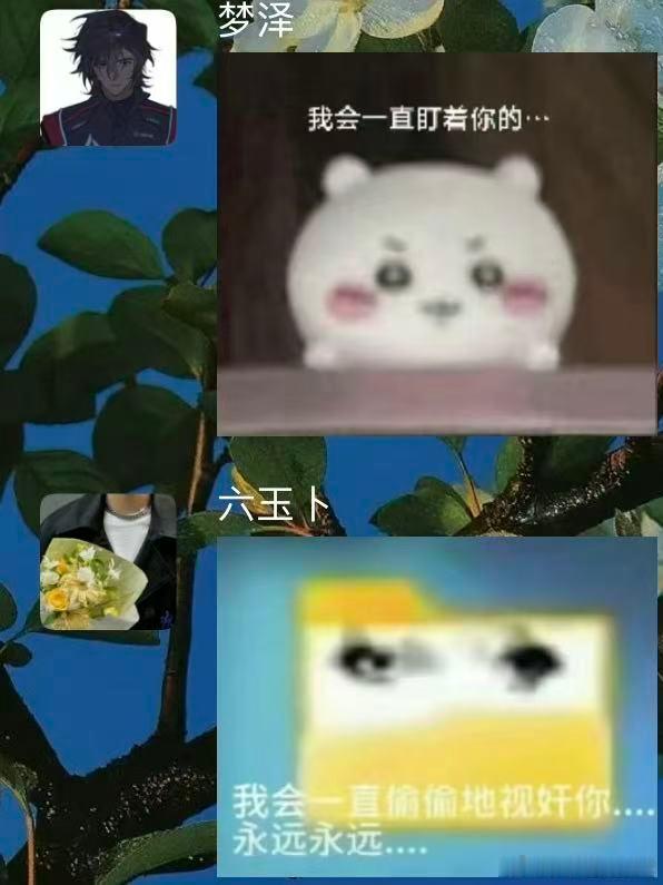 真不知道这俩人脑子里面装的什么东西 