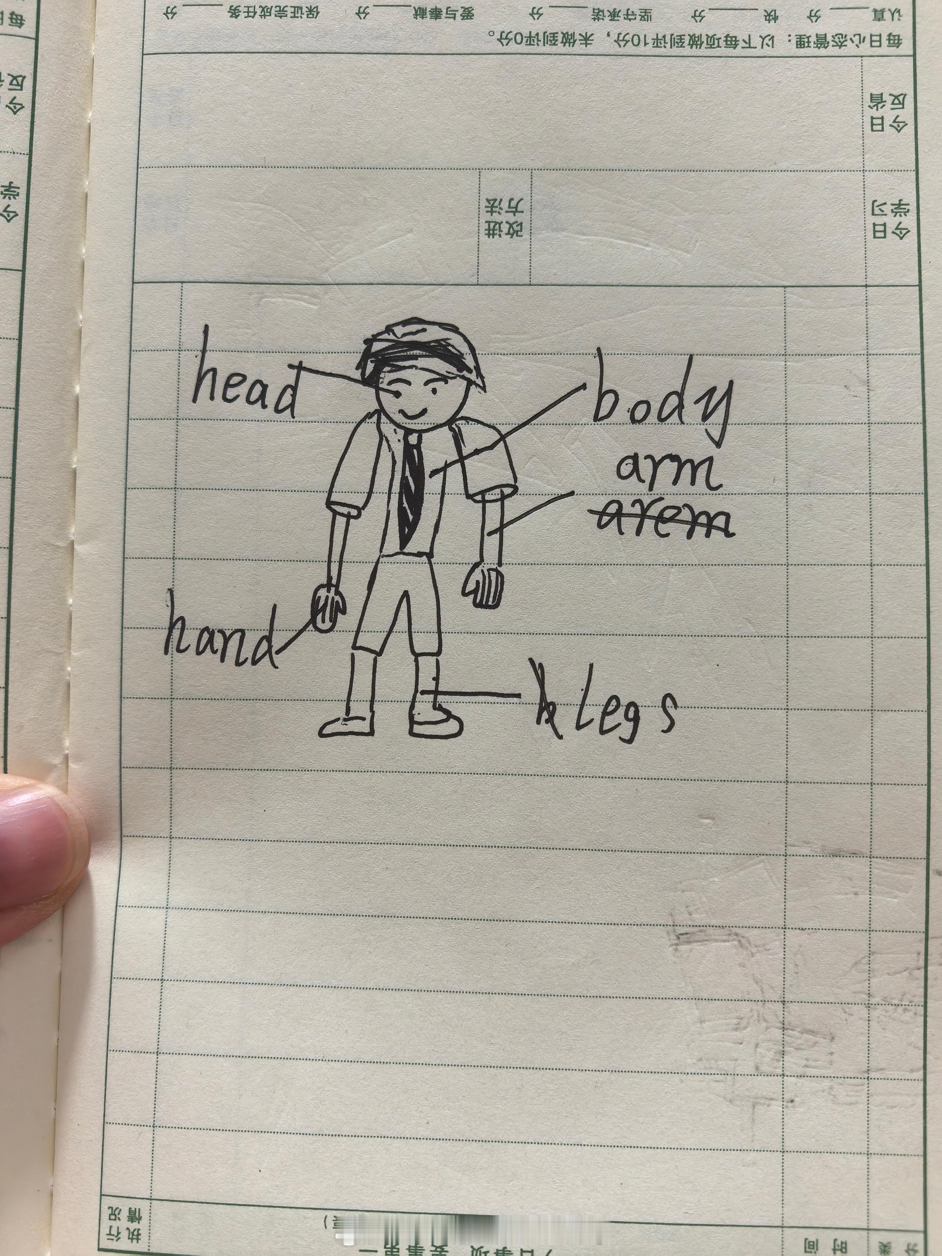 宝贝画的