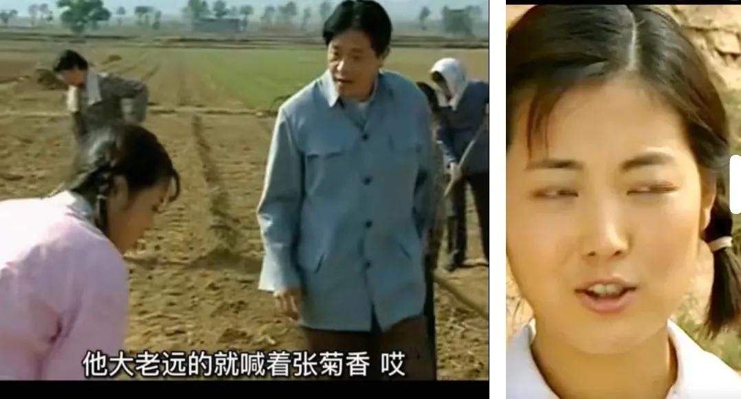 回顾了电视剧，发现过去的电影、电视拍的好看，比较贴近生活，农村剧比城市剧好看，北