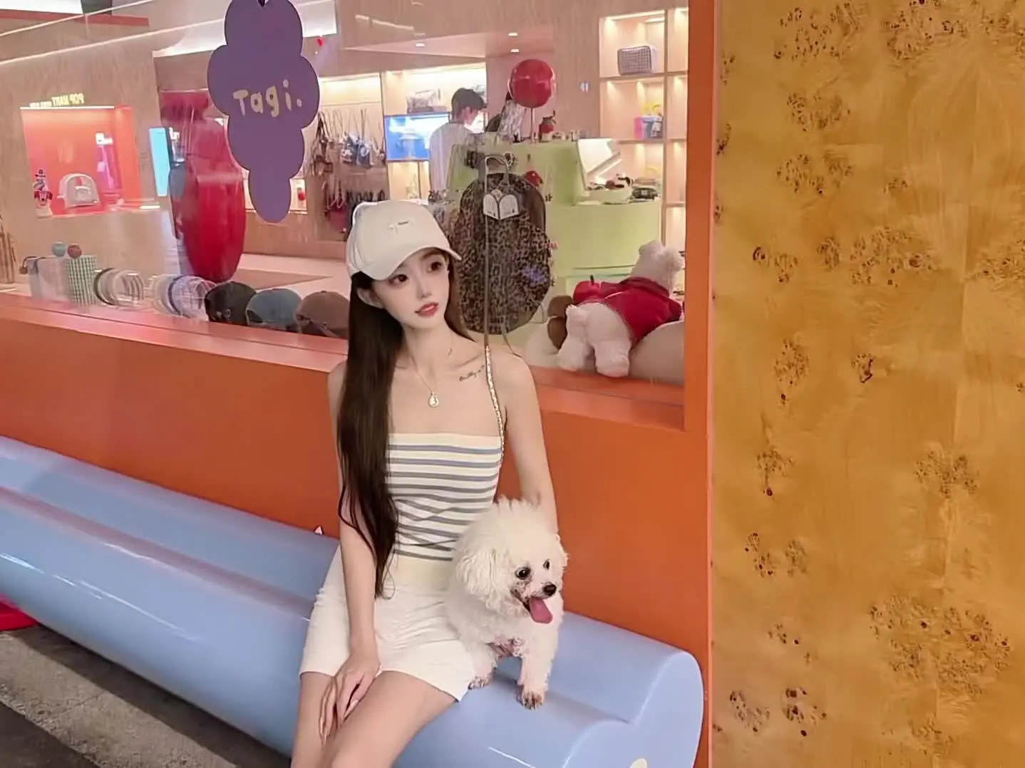 我看着你的脸 轻刷着和弦