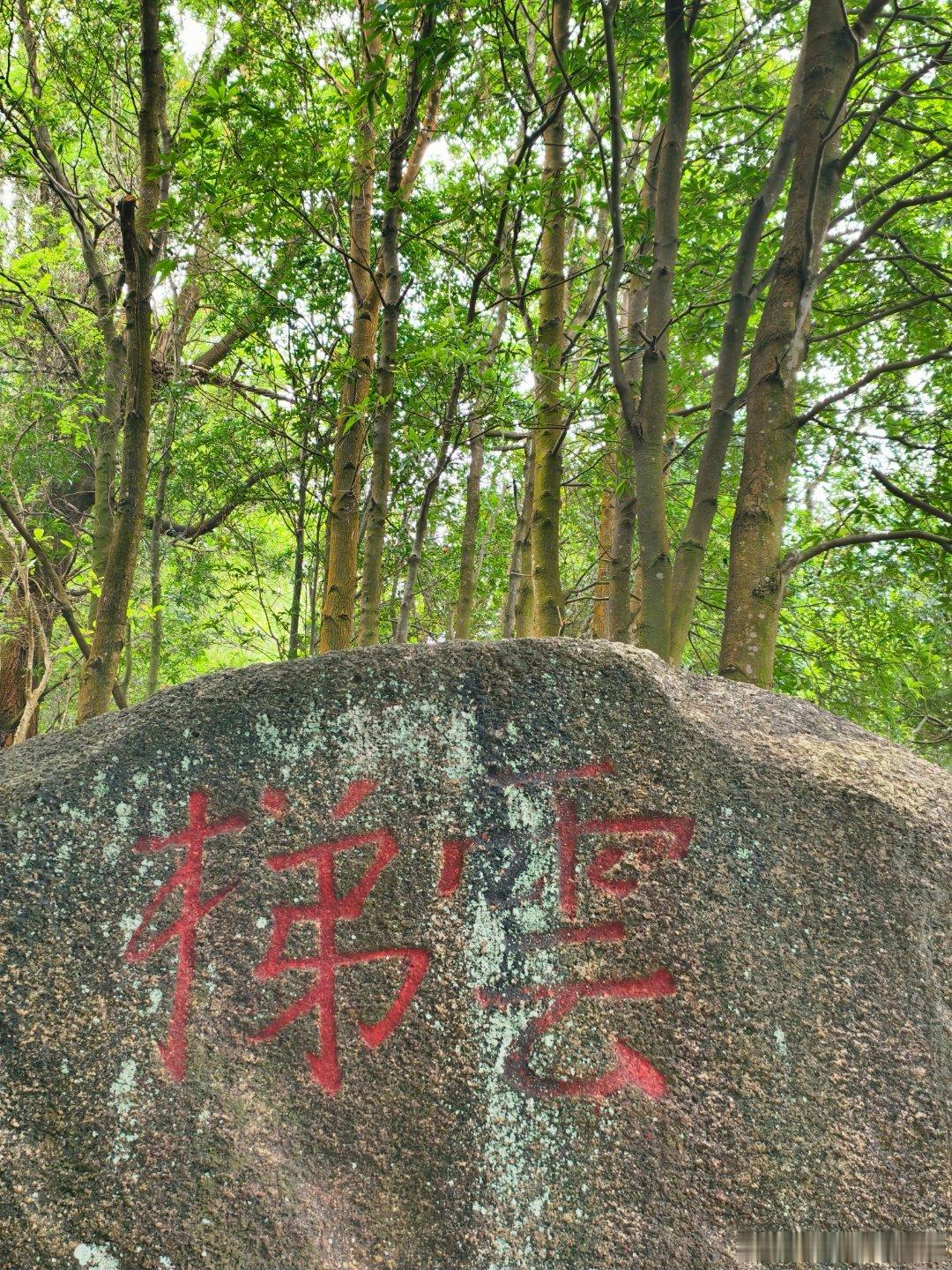 生态中山 半个月内二刷云梯山，2011年两次+上个月都是从东门（靠崖口村那边）进