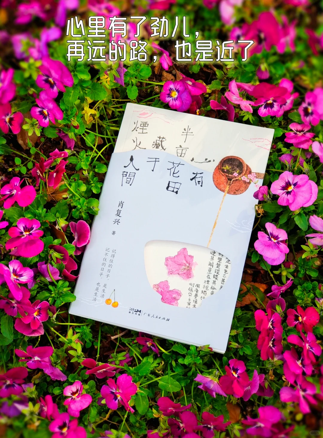 这40篇人与人之间的真挚情感散文，太治愈了