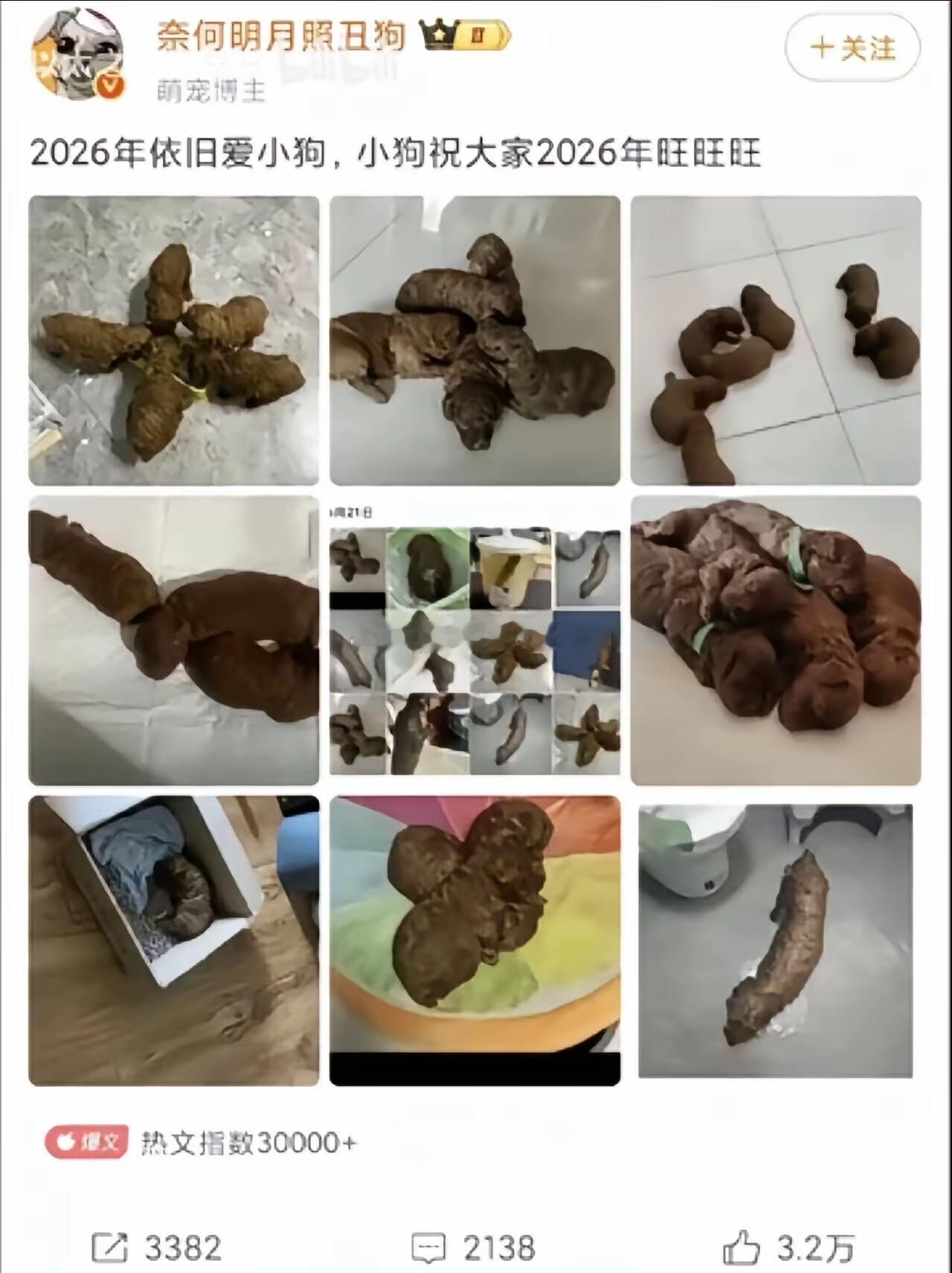 果然，动物都会变成自己喜欢吃的东西。 