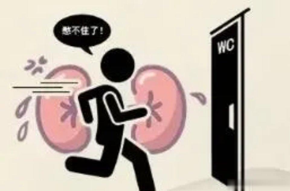 【夜尿频多是什么原因？现在全部告诉你】1.年龄增加：身体器官逐渐衰老，膀胱功能也