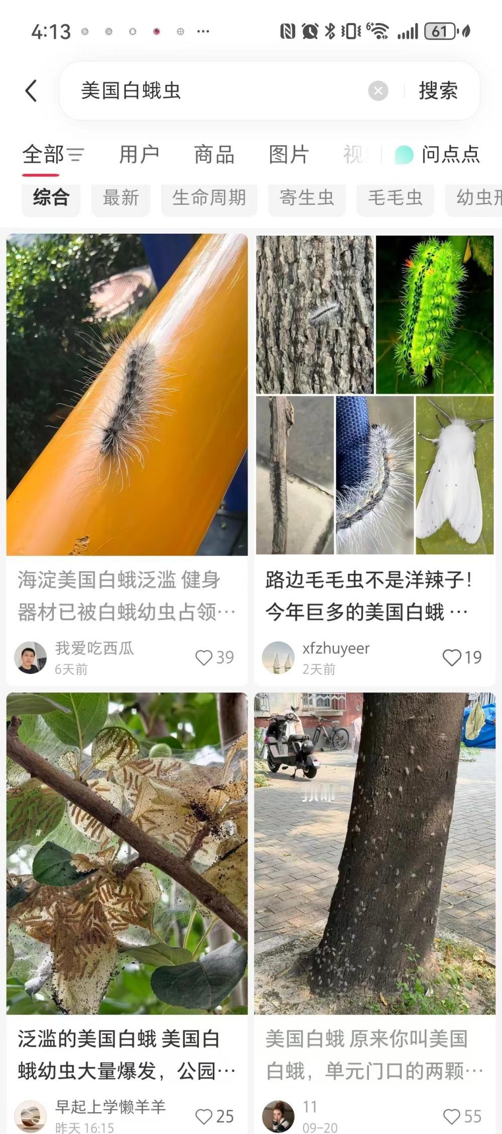 华北多地遭到虫子入侵，爬满树木，看着就让人发麻。

近日，华北多地网友在社交媒体