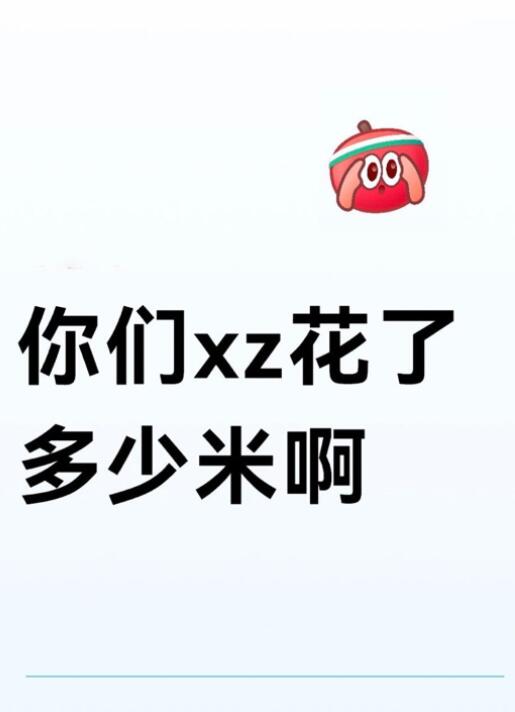 你们xz都花了多少米