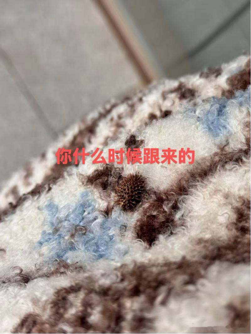 天地本不全，道经残缺，人身有漏，这才是正常的。一个完美无缺的东西，是不存在的，换
