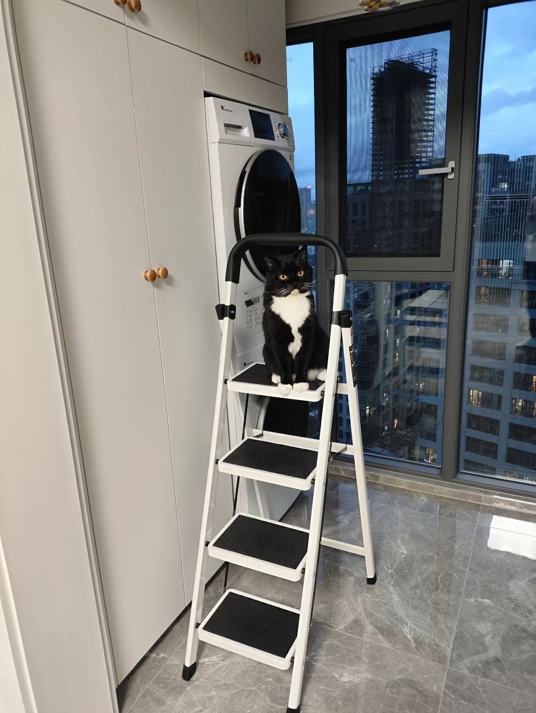 喵师傅，你是做什么工作的