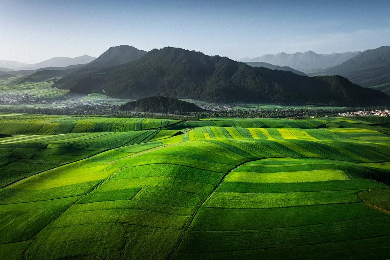 遇到一个某南京比较弱的四星级高中的学生家长，他们家孩子的物理的期末考试考了四十几