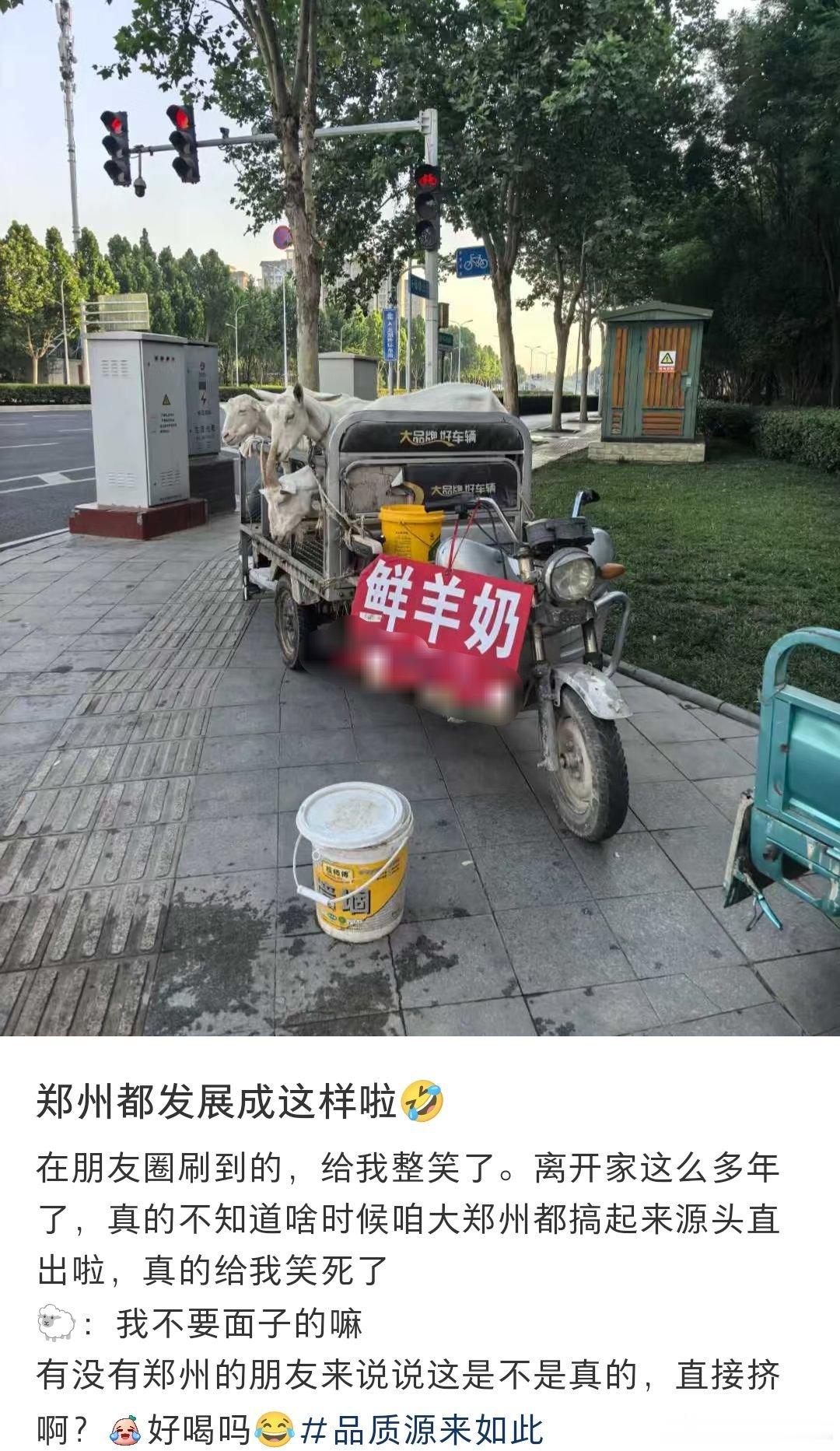 郑州还是太超前了！这是真的鲜羊奶，源头直出！ ​​​