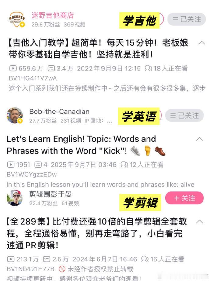 裸辞后在B站上学到的技能