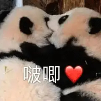 七夕快乐🎉🎉🎉 ​​​