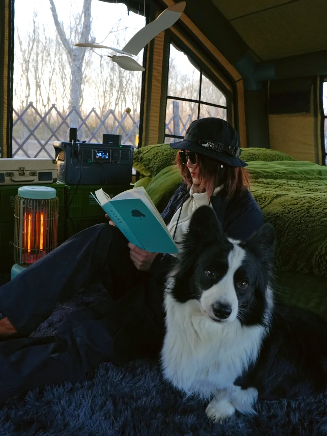 我有这样的露营搭子🐶你们有吗？