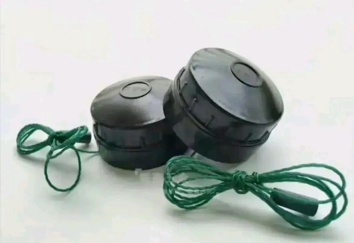 最起码要认识其中的三个及以上，才能说明你见多识广。