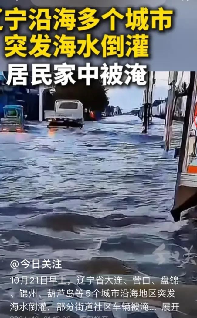 “天没塌”、“海水进家”啦！实在是不相信呀！为什么会海水倒灌呀？弄的我都害怕了，