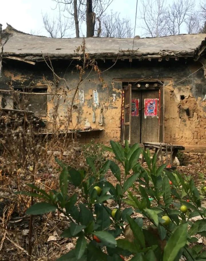 鸡已无声犬不闻，
荒草满院锈锁门，
灶台清冷依然在，
……请友续句………？

上