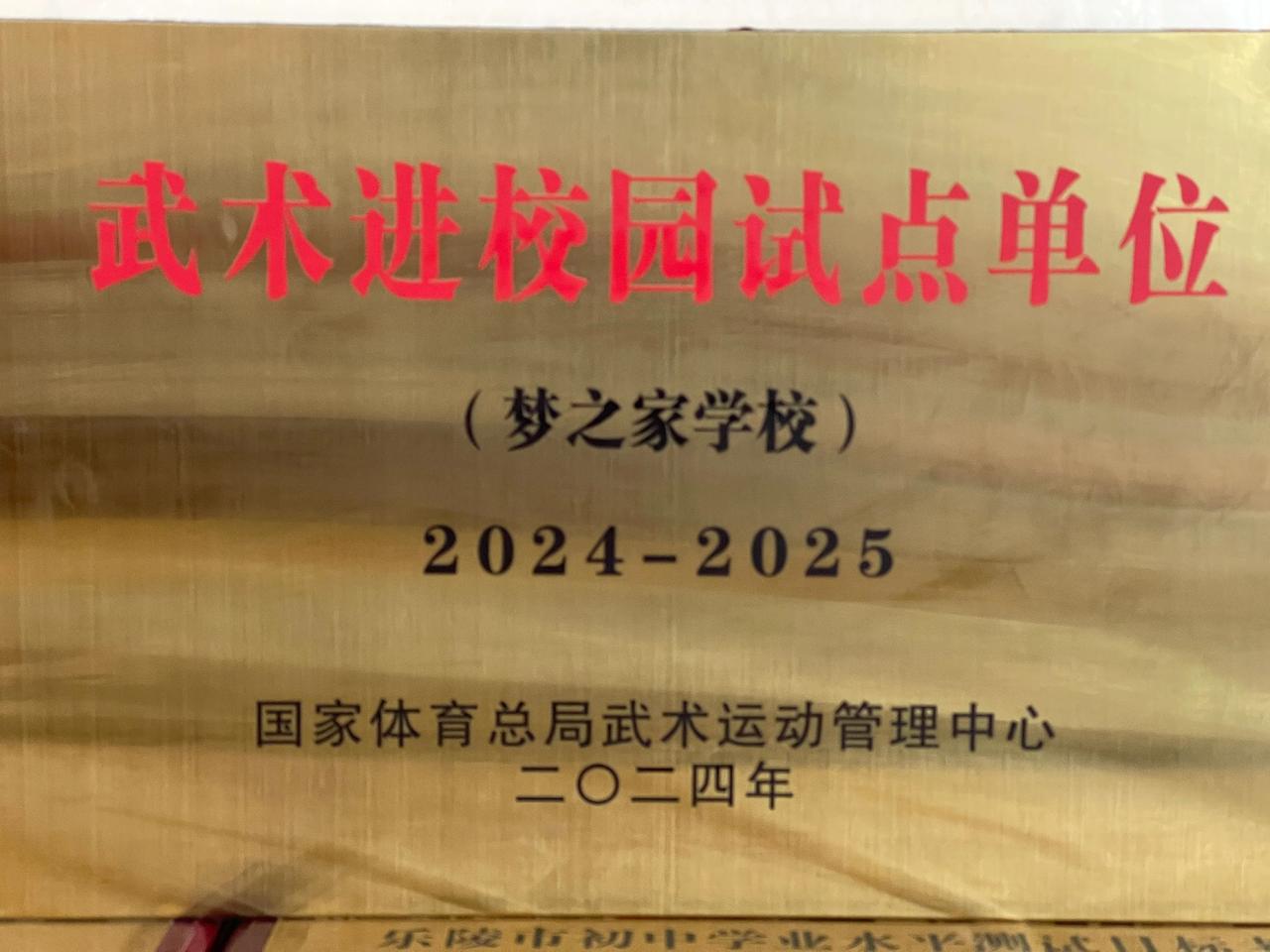 非遗进校园——乐陵梦之家课间操“传统形意拳”：每天综合运动2小时（全体课间操形意