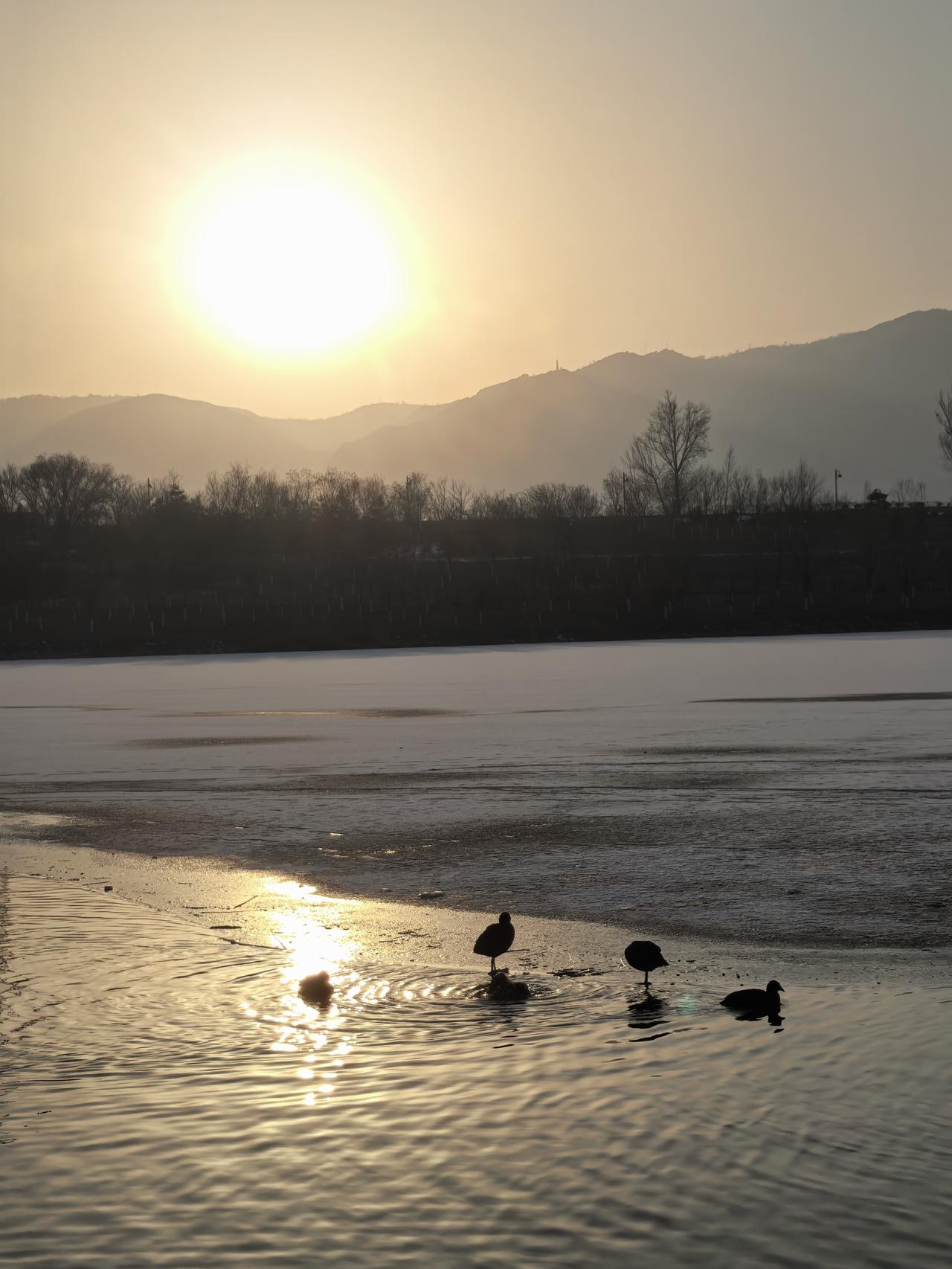 分享一张你最近手机拍到的照片