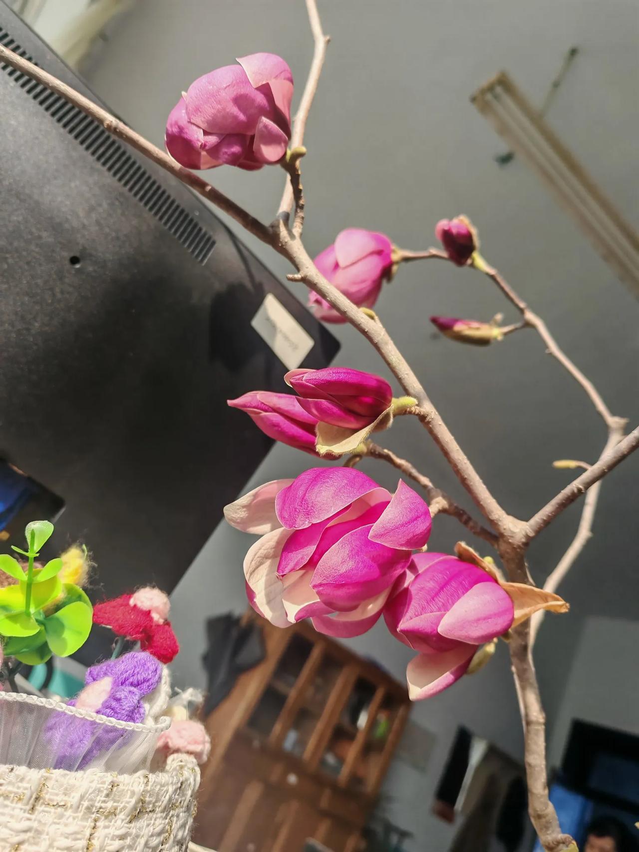我去班味儿最好的办法就是让生活和工作多一些仪式感，告诉自己就算不能“诗和远方”，