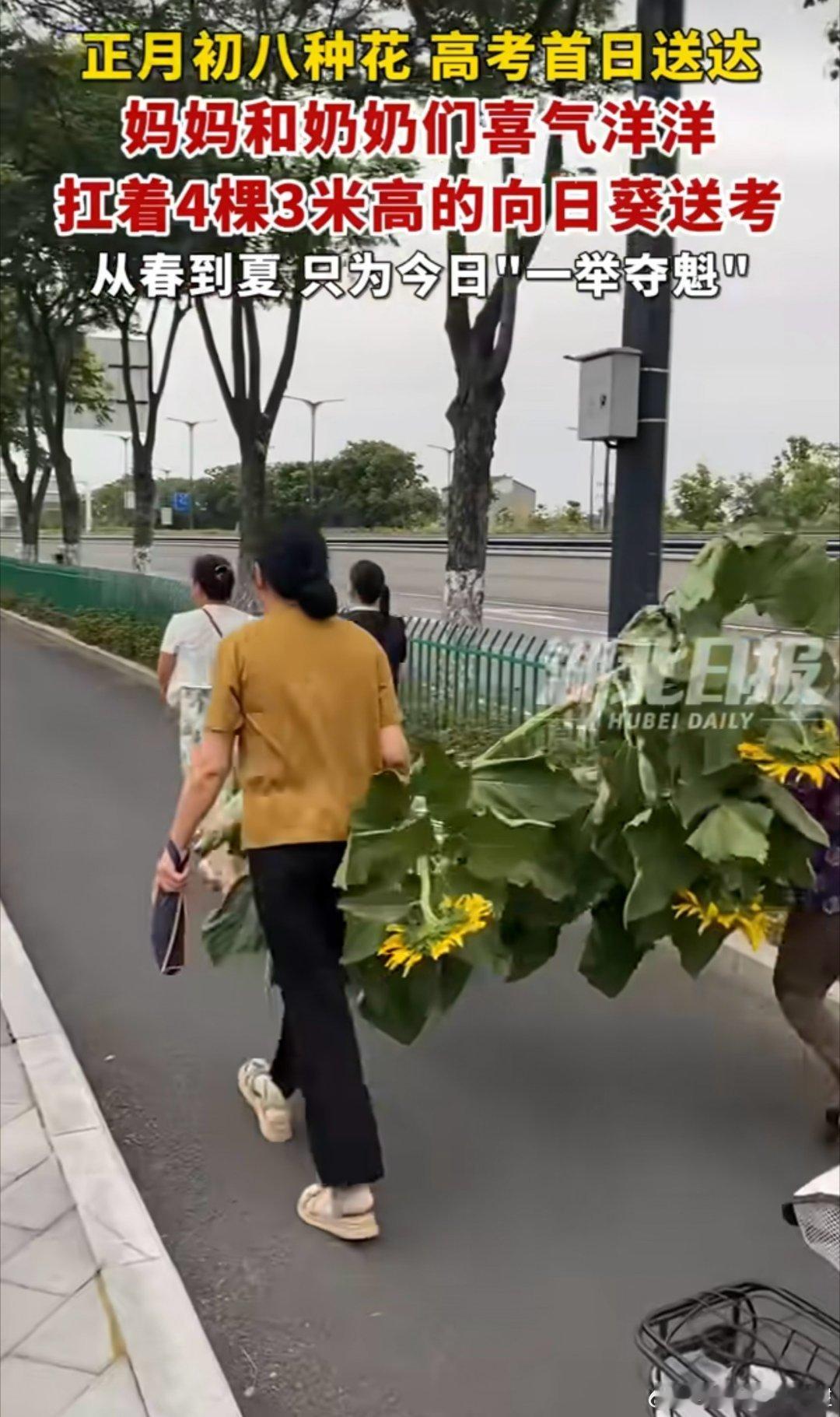 家长扛着超3米巨大向日葵送考我昨天给我丫头看完说过，说她高考的时候我扛个巨无霸向