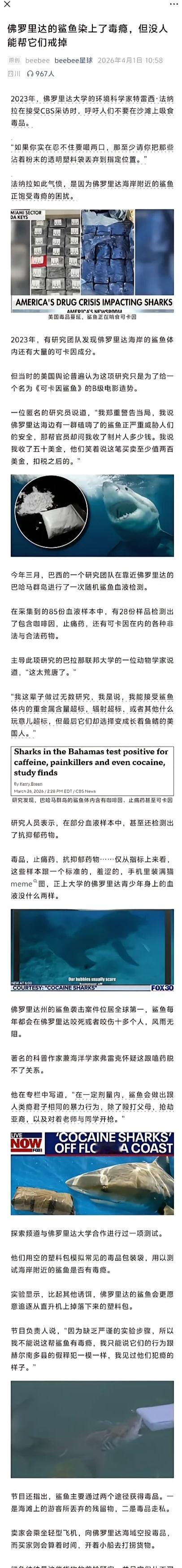 鲨鱼都能染上毒瘾。
令人震惊，甚至无法相信，只能说这个世界真的太癫狂了！
对，你