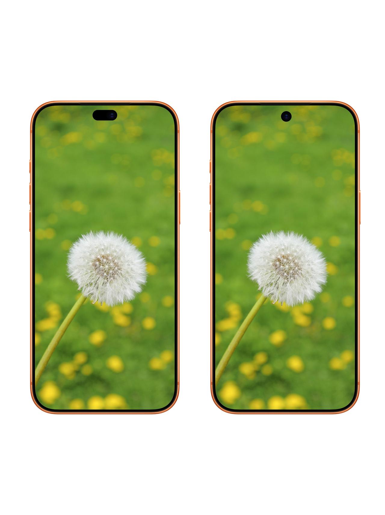 曝20周年纪念版iPhone不是真全面屏！

屏幕供应链大佬Ross Young