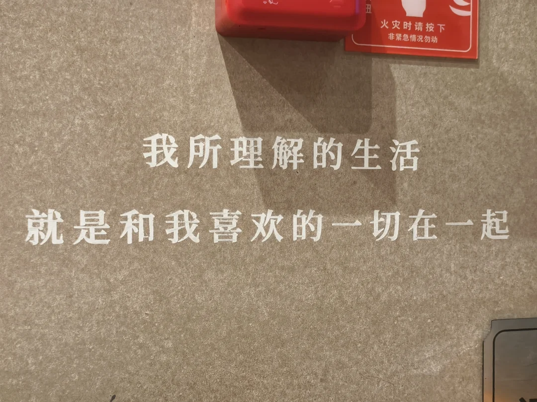 《我所理解的生活》