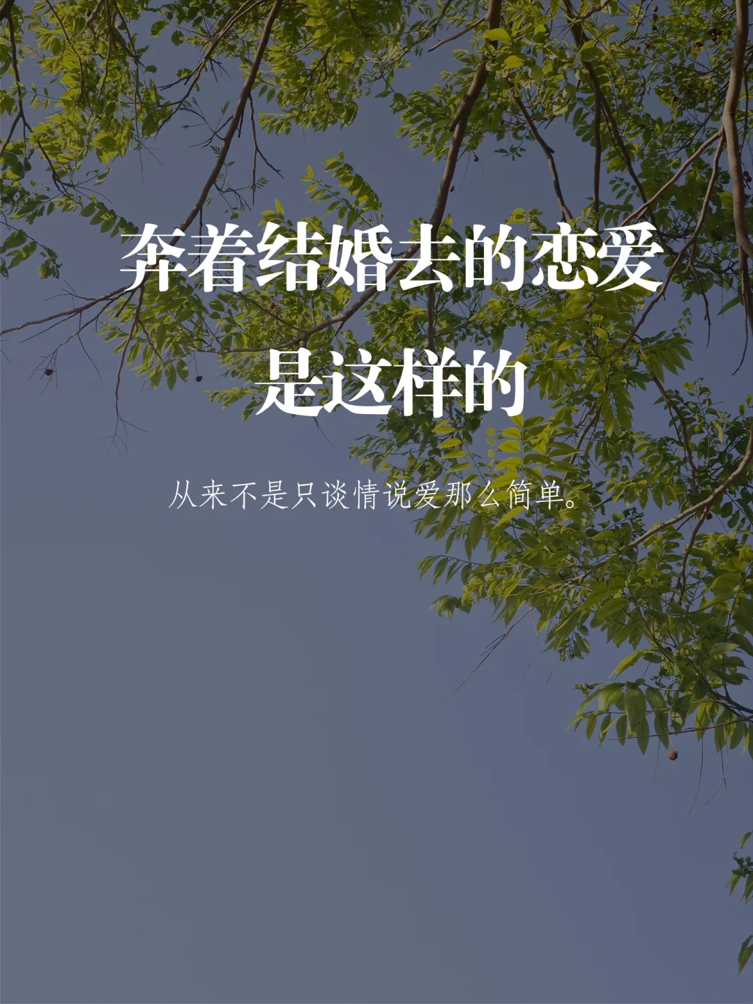 奔着结婚去的恋爱是这样的