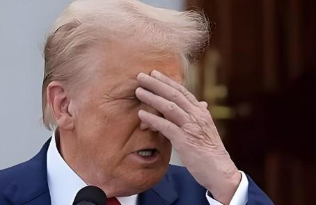 特朗普这个人真的不靠谱，太好玩了！

谁能想到，前总统级别的人物，能把严肃的外交