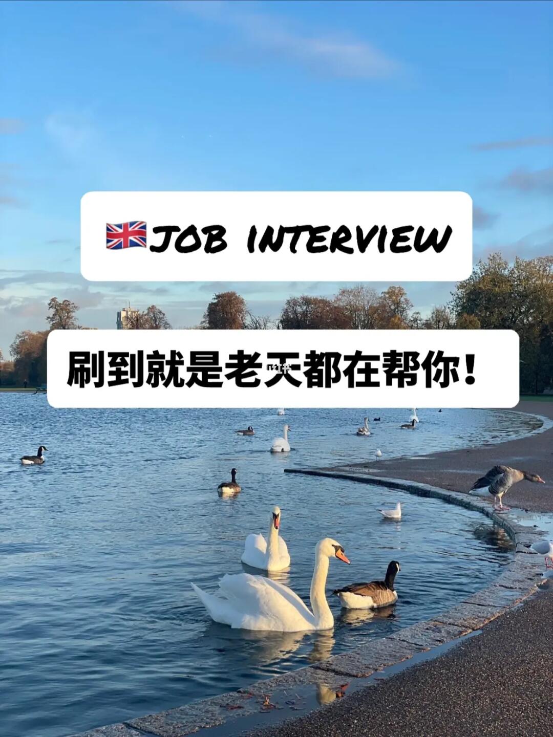 🇬🇧强推一万次，job interview这样回答！