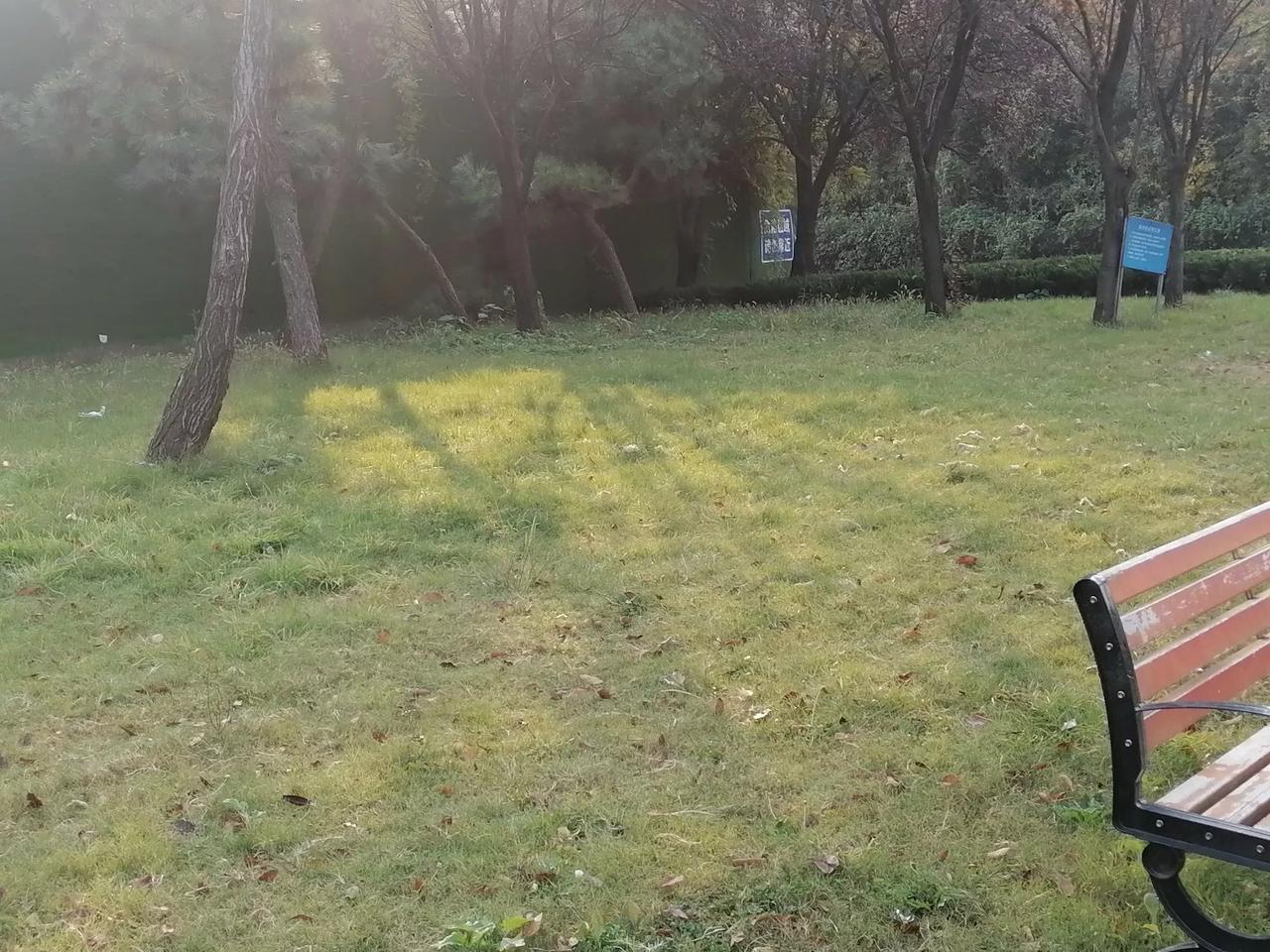 冬日生活打卡季不冷的冬天很舒服