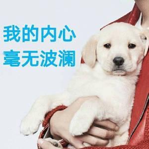 马上就会知道四天有多长了对于5.1就歇了一天的我来说，已经麻木了。周六的补班内心