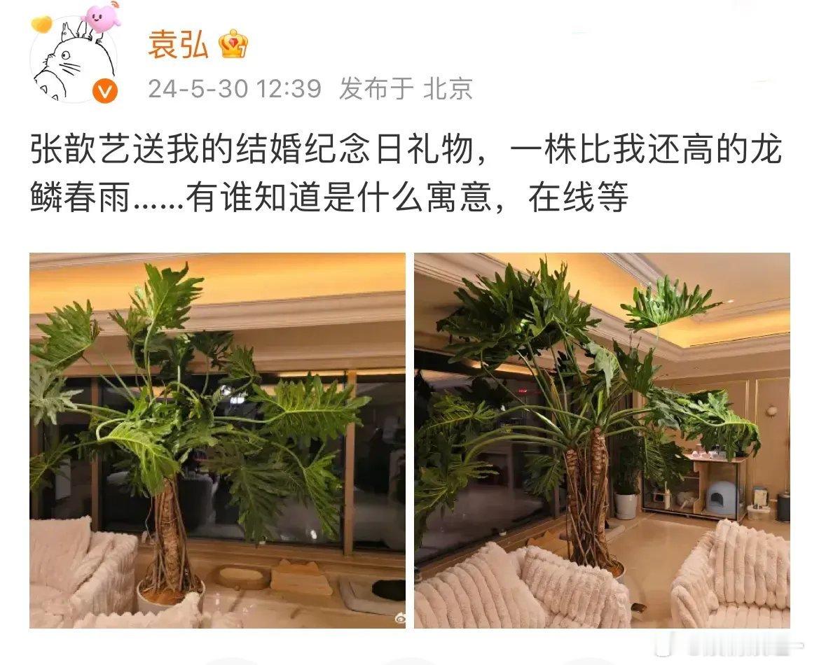 袁弘，万万没想到吧！5月30日，袁弘最新发文，自曝老婆送了自己一个特别的结婚纪念