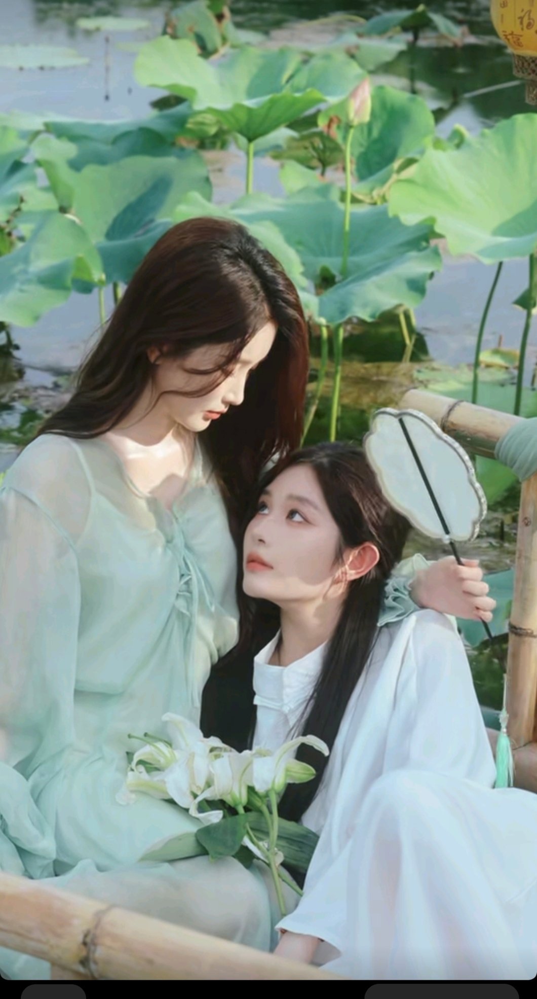 为什么还是很有母爱的感觉哈哈哈百合花开了[期待] ​​​