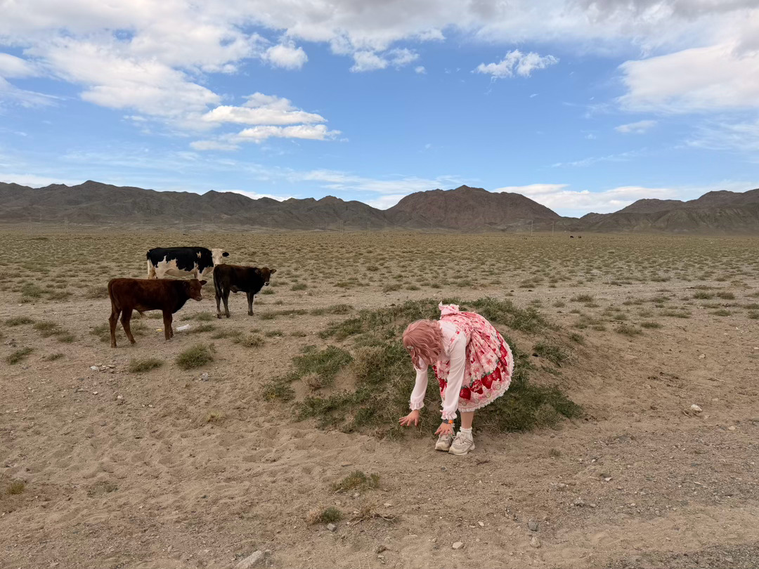 🐂：这人有🧊吧 