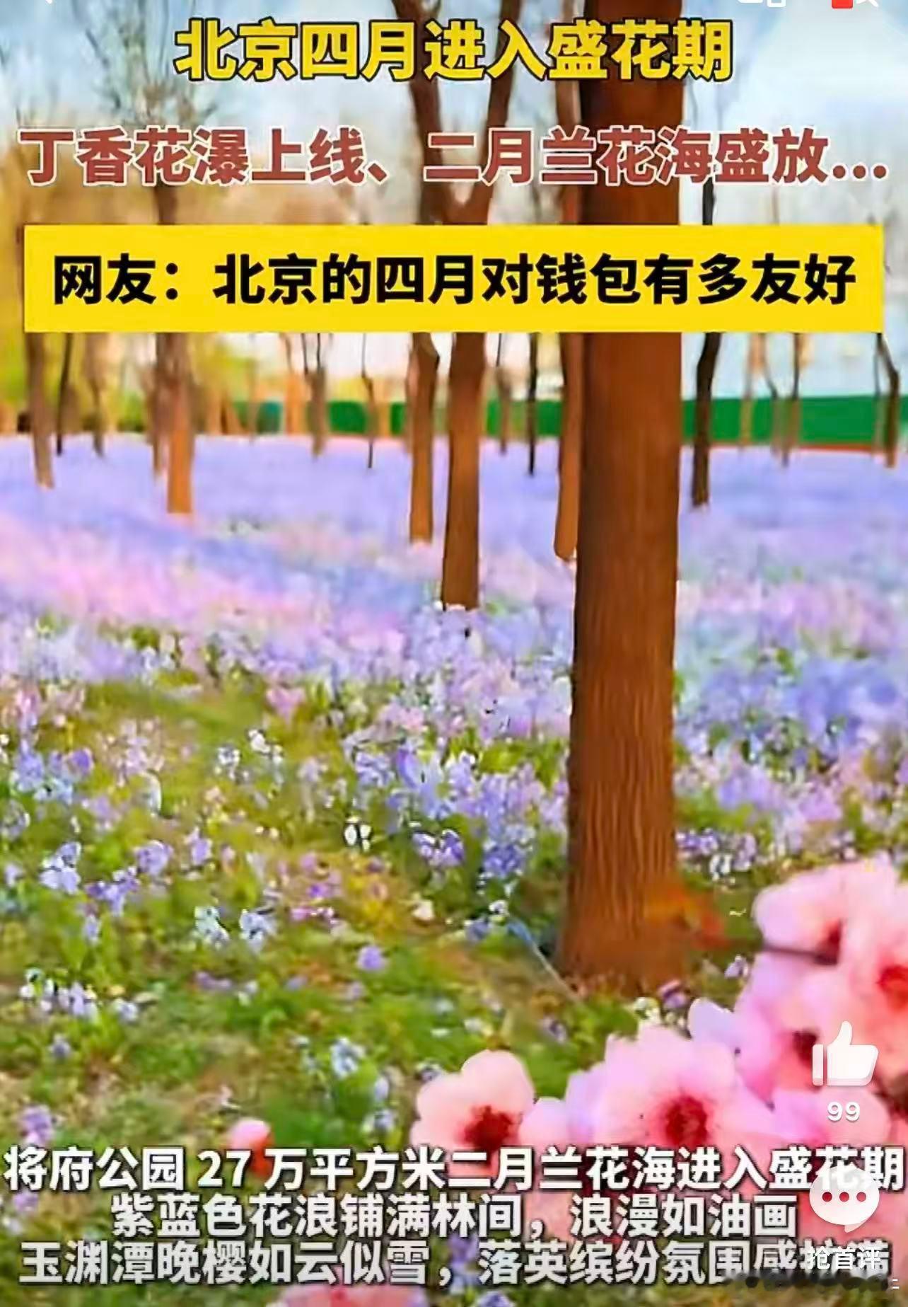 北京的四月对钱包有多友好春风拂过满城繁花，开得热烈又温柔，不用门票也能邂逅满眼浪