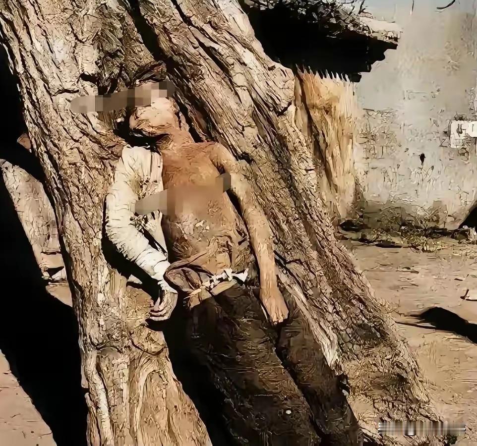 这个女孩被敌人用铁钉活活的钉死在一棵槐树上，年纪才15岁，正是花一样的年纪，就这