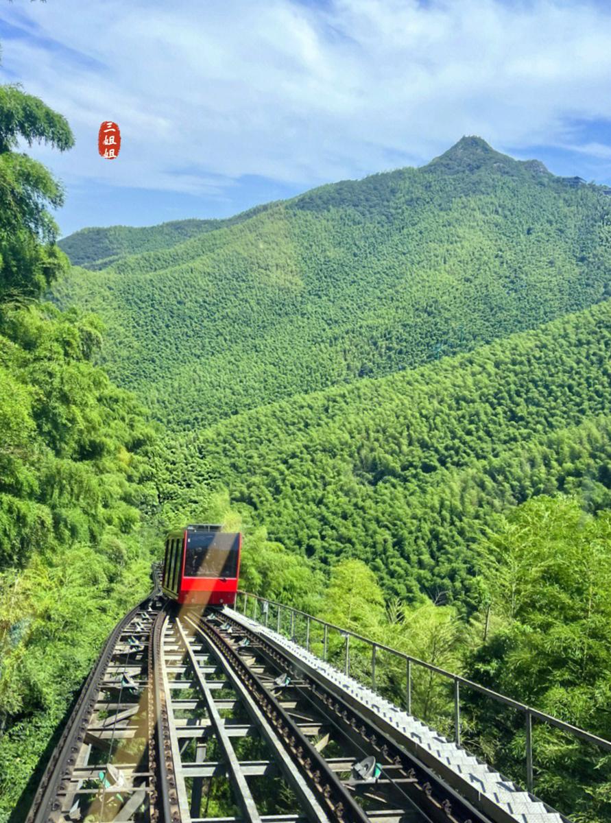 初夏好去处，江苏溧阳南山竹海，这个季节太舒服。
5月的南山竹海，满眼翠绿，空气里