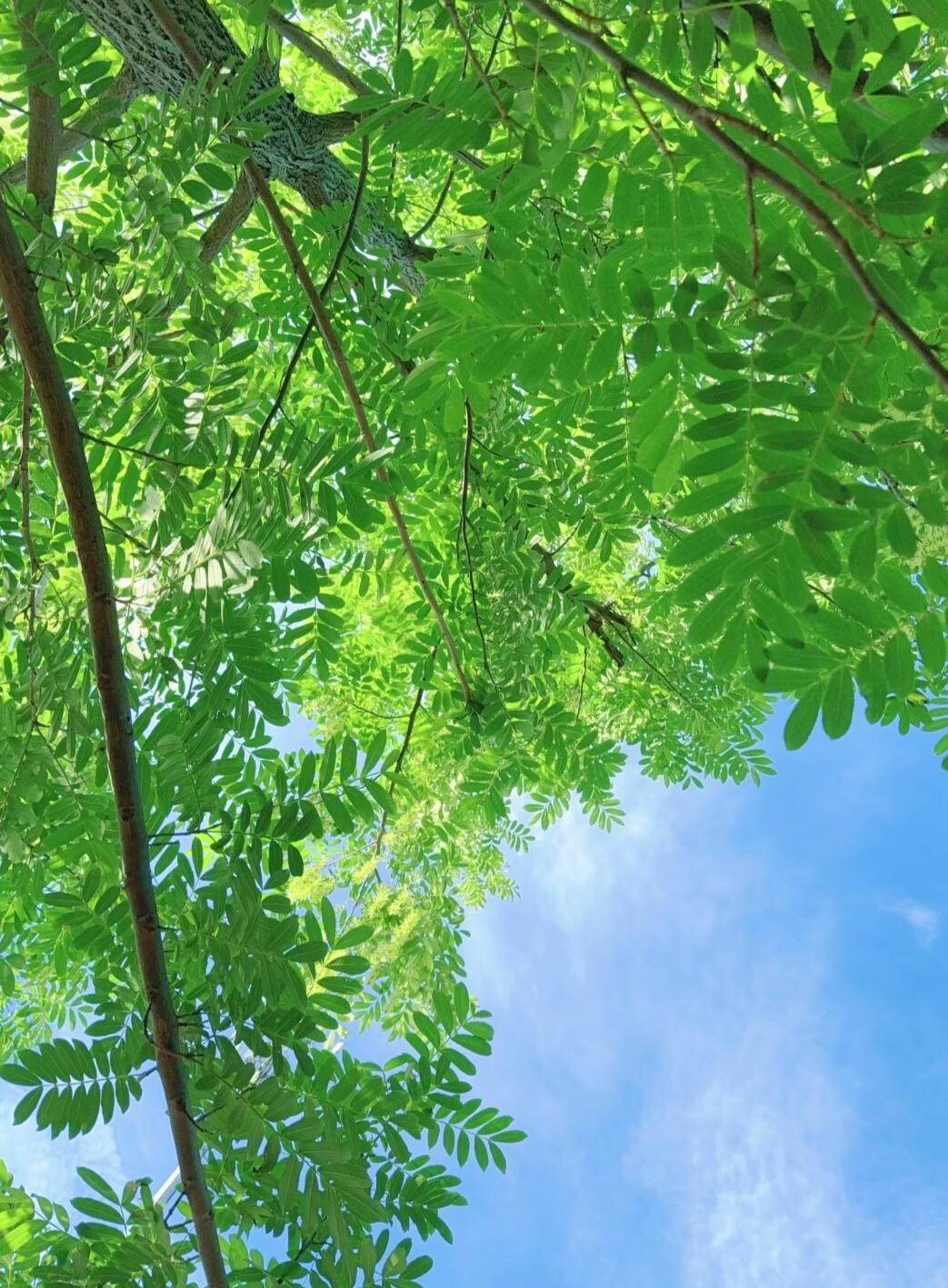 是社会在变还是人在变总有人纠结，到底是社会变了，还是人心变了。其实环境一直在向前