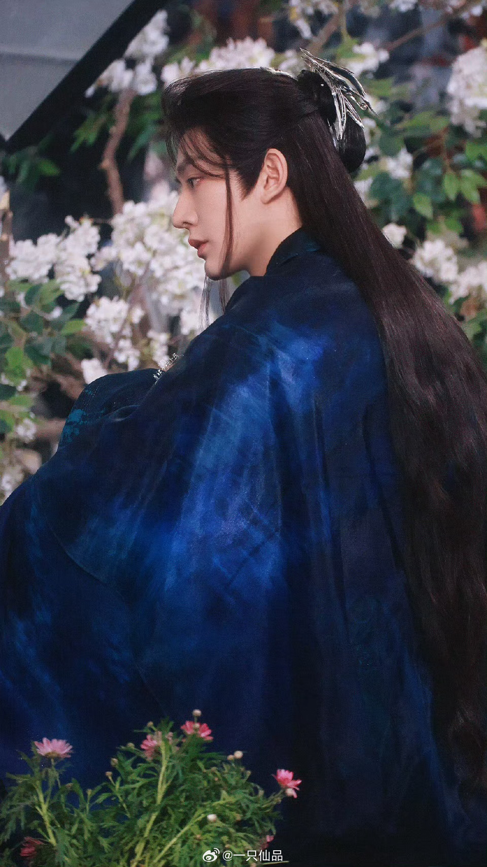 邓为这张图也太绝了吧！！！美得就像一幅油画