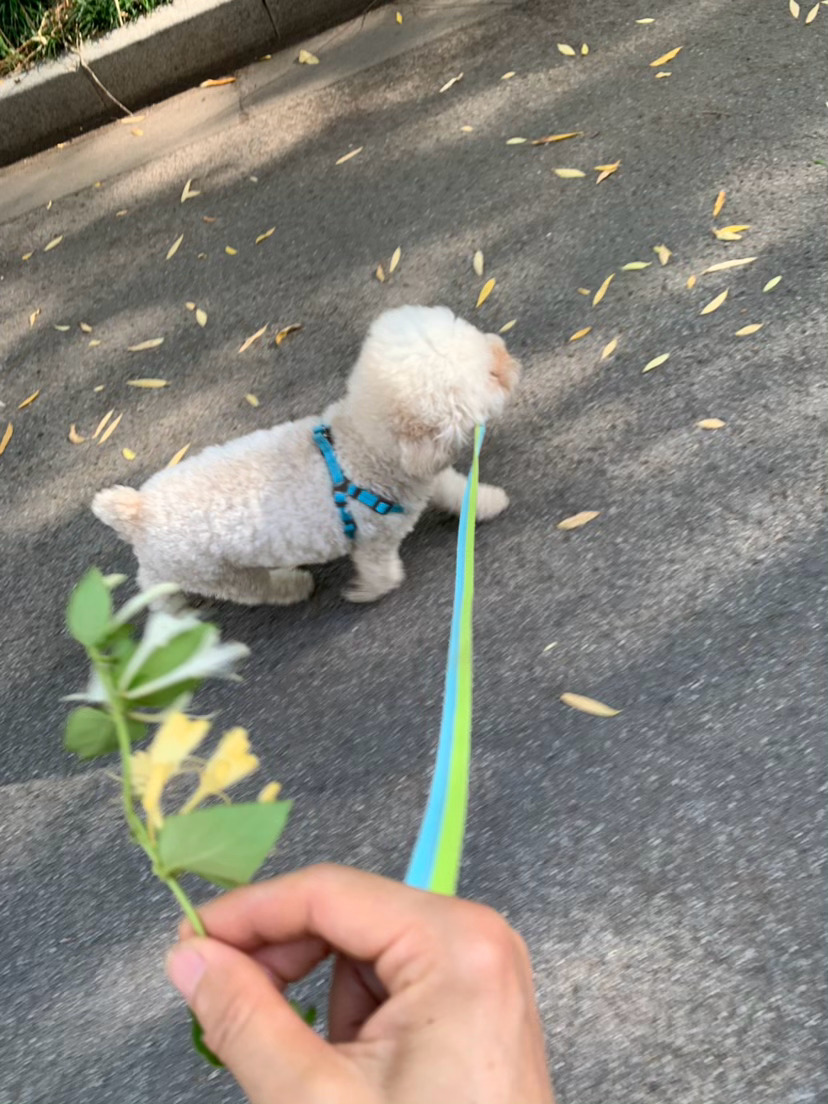看个展遛三遍娃想要十点睡觉真的太难了（早上完成kpi带娃） 