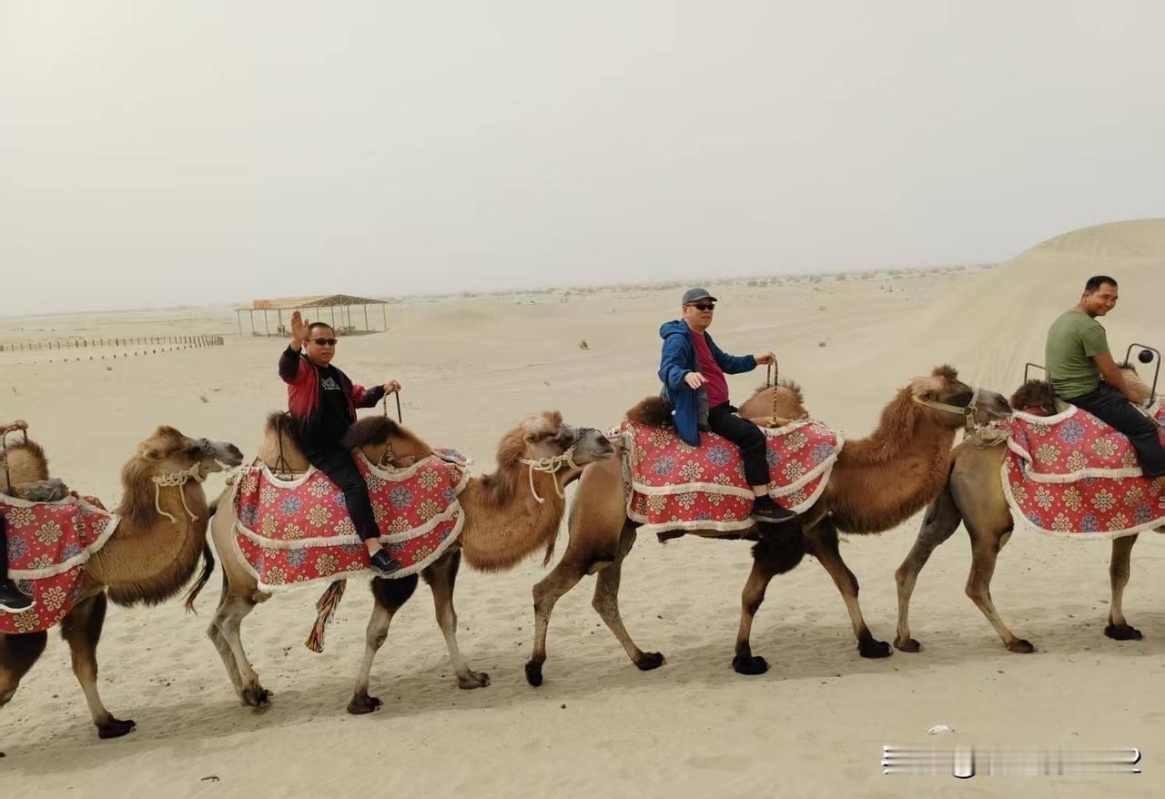 一张图证明你去过的地方开启塔克拉玛干大沙漠