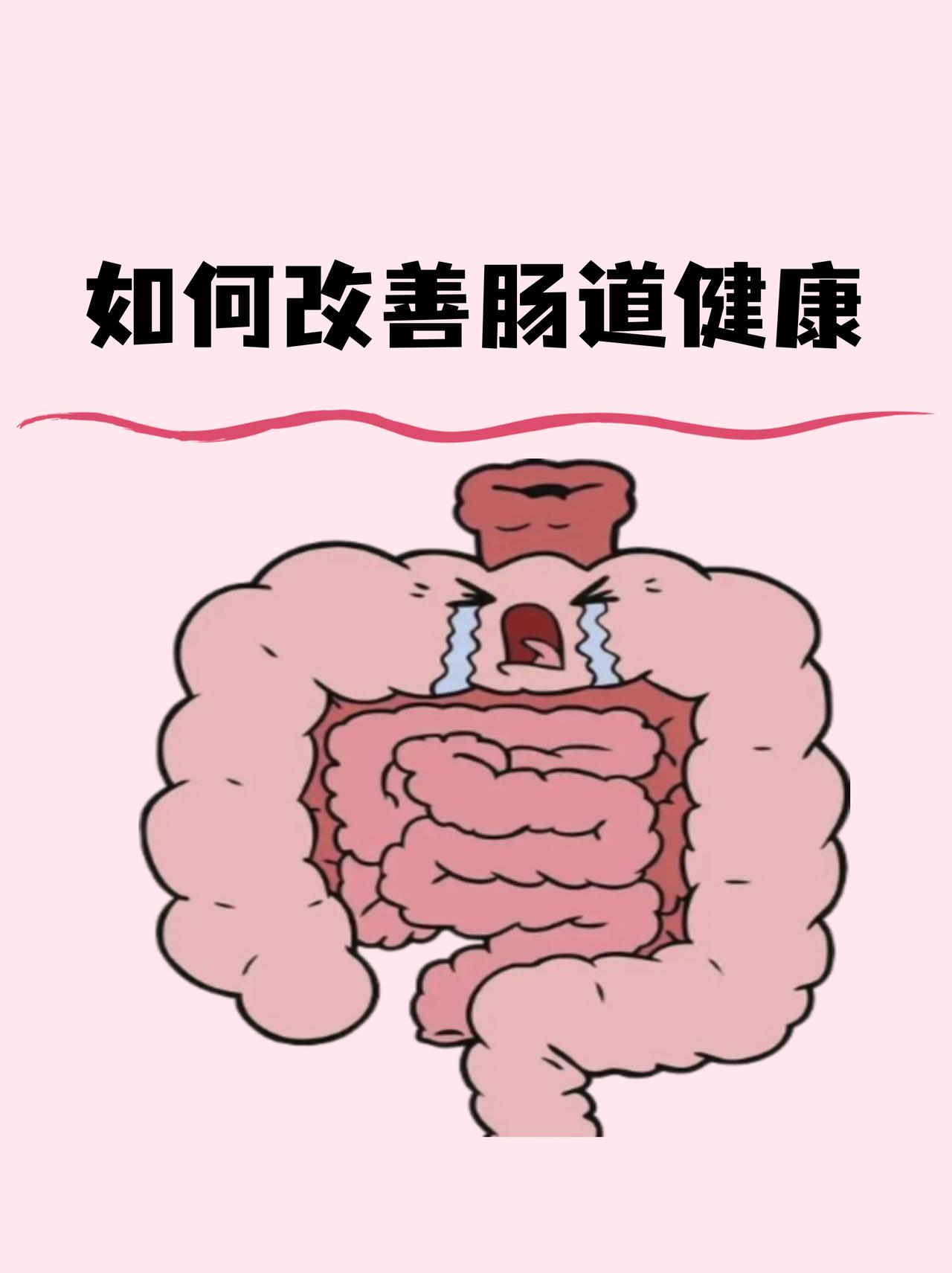 如何改善肠道健康？
       我认为，应该做好以下四点:
       饮食