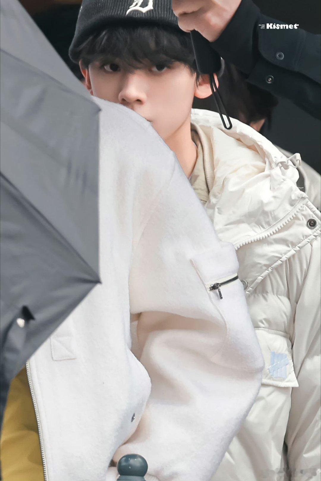 妹子。妹子。。 